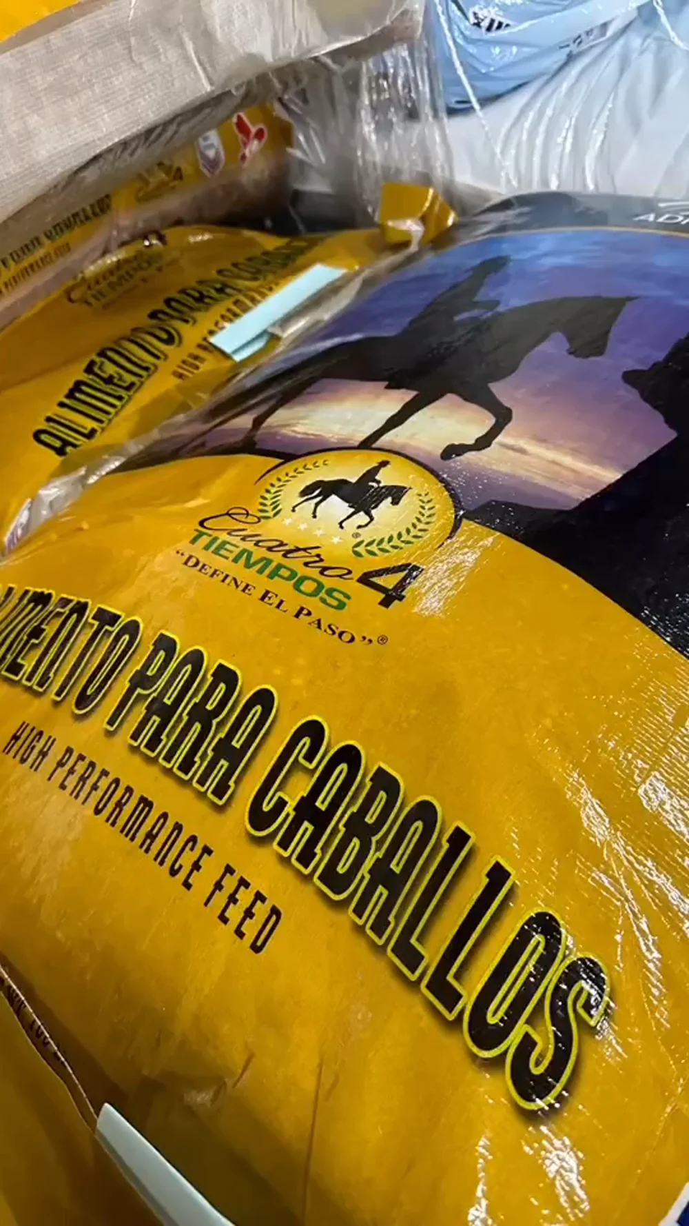 Sacos de alimento para caballos
