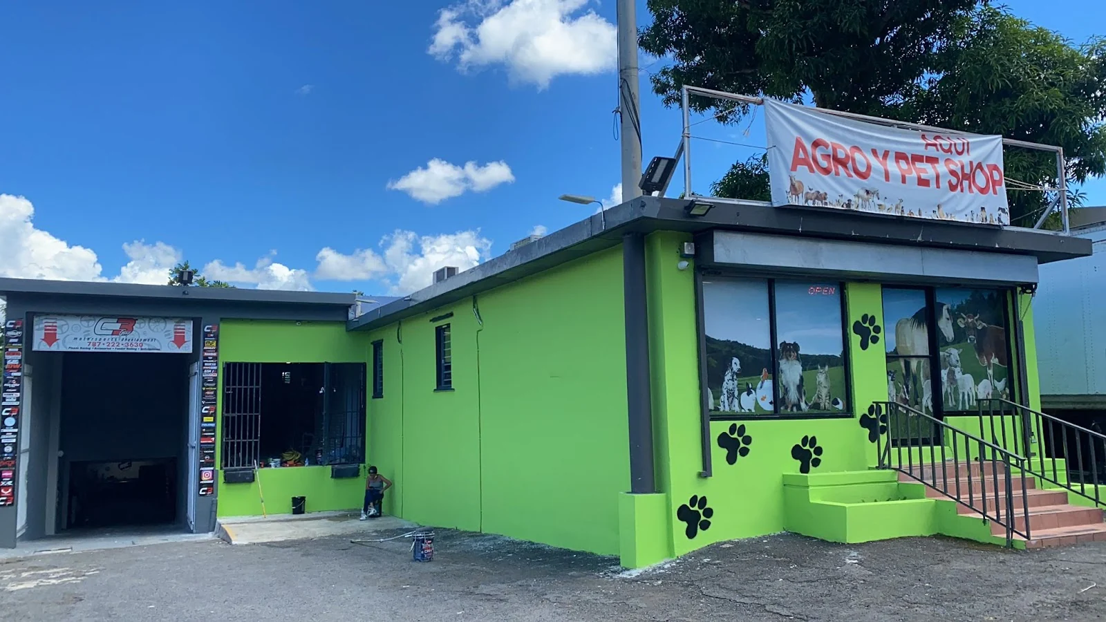 Fachada lima de Agrocentro, Outlet Pet Center en la carretera PR-1 de Caguas, con huellas pintadas en la pared