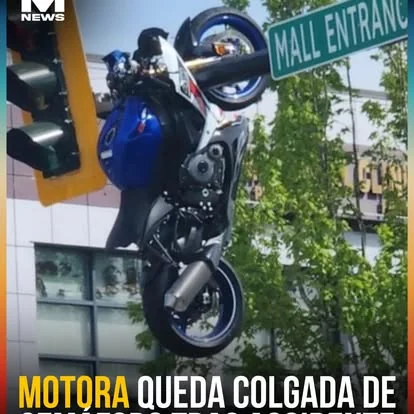 Degetau C Store — galería 4