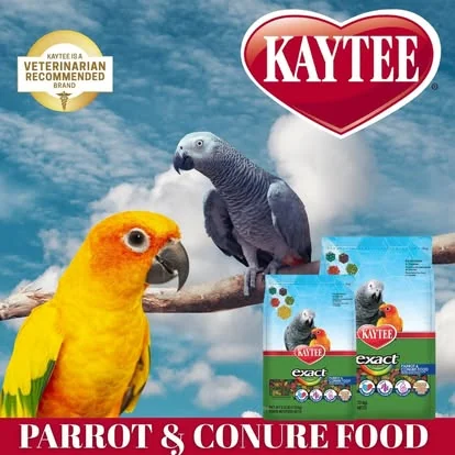 Kaytee Exact Parrot y Conure