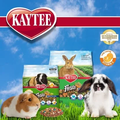 Kaytee Fiesta para conejo y cuyo
