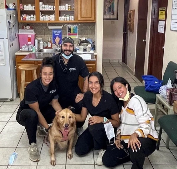 Equipo del Hospital Veterinario Ambuvet del Caribe