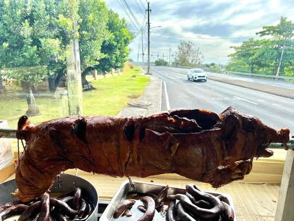 Cuero del lechón dorado y crujiente sobre el asador