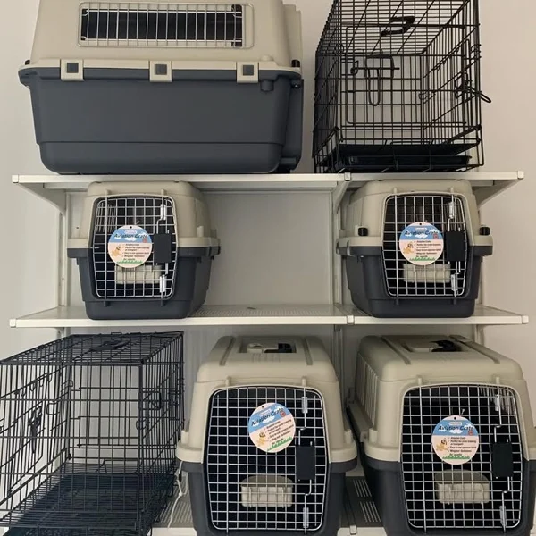 Área de transportadoras y hospedaje de Pets'r Us Ponce