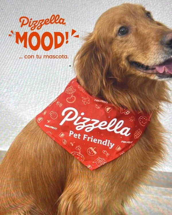Perro con bandana Pizzella Pet Friendly