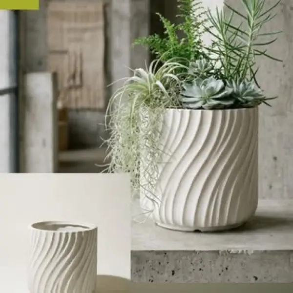 Jardín residencial con pasos de concreto y plantas tropicales
