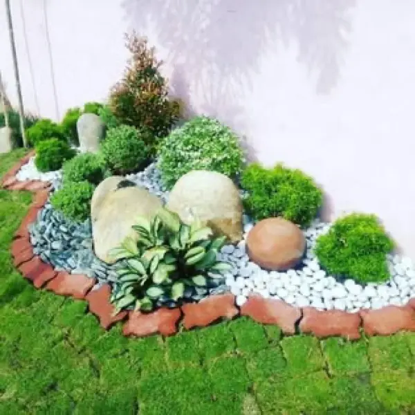 Proyecto de paisajismo por Patio Limpio en Facebook